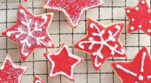 15 Best 4th of July Cookies – Fourth of July Cookie Recipes – The Pioneer Woman