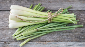 15 Tips You Need When Cooking With Lemongrass – Tasting Table
