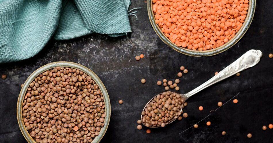 Lentils: Nutrition, Benefits, and How to Cook Them – Healthline