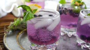 10 Low-Waste Mocktail Recipes That Are Good for You and the Planet – Brightly