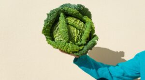7 Cabbage Recipes Anyone Can Enjoy – Everyday Health
