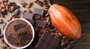 Is Chocolate Good For You? 4 Tips To Choose The Right One – NDTV Food