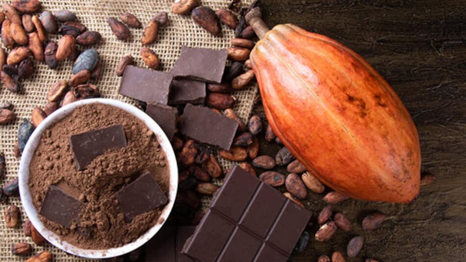 Is Chocolate Good For You? 4 Tips To Choose The Right One – NDTV Food