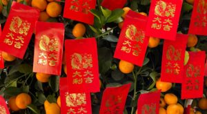 Lucky Foods in the New Year – TCM World