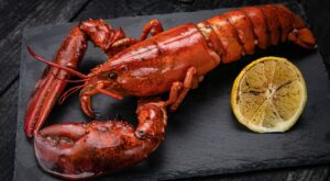 16 Types Of Lobster And How To Cook Them – Mashed