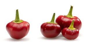 Cherry Bombs: The Hot Cherry Peppers That