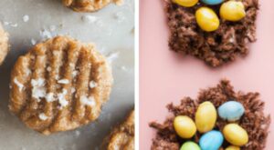 The 30 BEST No Bake Cookies (Cookie Recipes)