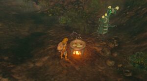 How To Cook Cold Resistance Food in Zelda Tears of the Kingdom