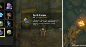 Zelda: Tears of the Kingdom – How to Get and Use Bomb Flowers