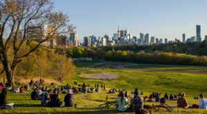Toronto could allow drinking in some parks this summer & here’s what to know
