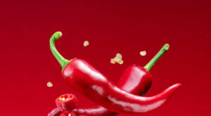 How good is chili pepper for you? Find out what the experts say, get serving sizes, and health concerns