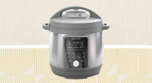 The 6 Best Instant Pots of 2023, According to Lab Testing