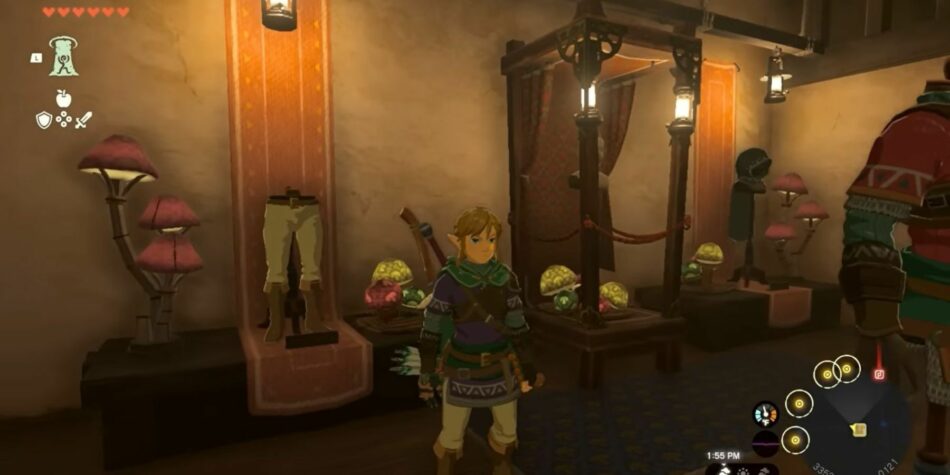 Zelda: Tears of the Kingdom – How to Lower Link’s Hood