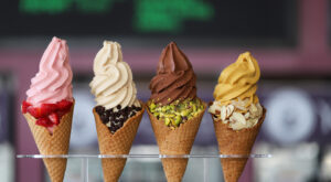 Want to Own A Vegan Soft Serve Shop? Yoga-urt Now Offers Franchising!