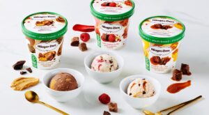 Häagen-Dazs Plant-Based Ice Cream Reviews & Info