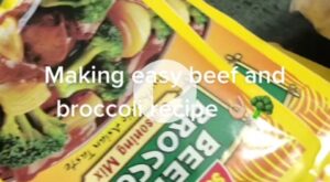 beef and broccoli sauce recipe hungry hurssey｜TikTok Search