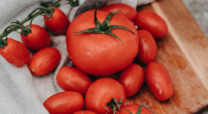 Tomatoes: The Twin Flame of Italian Cooking