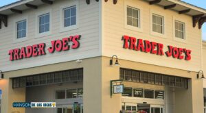 This Trader Joe’s gluten free fish fillets are nothing like you’ve ever try, and there’s a surprise inside