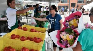 Park Ridge Farmers Market opening Saturday with pizza, more gluten-free, vegetarian options