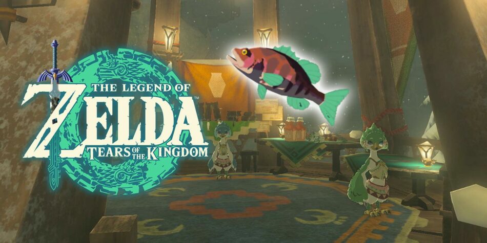 Zelda: Tears of the Kingdom – Genli