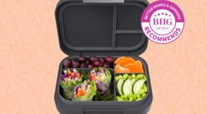 These Are The Best Bento Boxes for Packed Lunches, Leftovers, and More