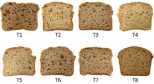 Development of Gluten-Free Bread Using Teosinte (Dioon mejiae) Flour in Combination with High-Protein Brown Rice Flour and High-Protein White Rice Flour
