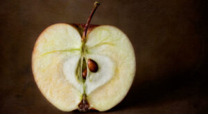 Are Brown Apple Slices Safe to Eat?