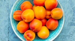 How to Store Apricots So They Don’t Bruise