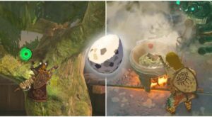 The Legend Of Zelda: Tears Of The Kingdom – How To Get Eggs (& What To Cook With Them)