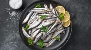 14 Facts About Sardines You Should Know – Tasting Table