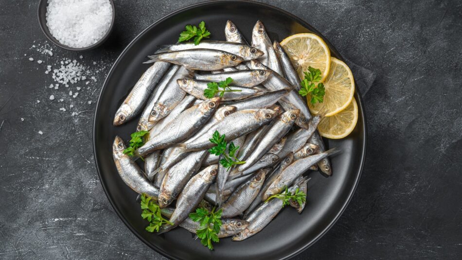 14 Facts About Sardines You Should Know – Tasting Table