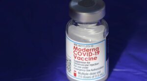 Moderna tops 1Q forecasts; vaccine sales plunge as expected