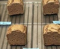 Sorghum Bran rises as an ingredient for enhancing gluten-free bread