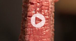 easy beef steak sauce｜TikTok Search