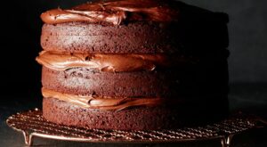 Dreamy Chocolate Dessert Recipes – Williams-Sonoma