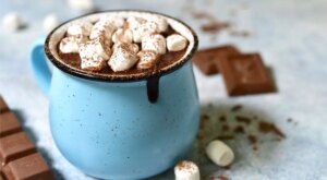 22 Vegan Hot Chocolate Recipes (You Won’t Believe Are Dairy Free) – Sage Alpha Gal
