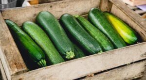 6 Health Benefits Of Zucchini – Forbes Health – Forbes