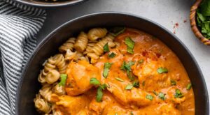 Easy Chicken Paprikash Recipe – The Recipe Critic