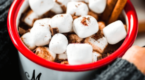6 Hot Chocolate Recipes to Warm You Up (and 1 to Cool You Down) – Cardinal & Pine