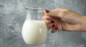 World Milk Day: Deciphering the benefits of plant-based milk and recipes – Free Press Journal
