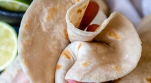 Soft Gluten-Free Flour Tortillas – MamaGourmand