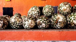 Want to know more about the chatter surrounding tequila additives? Read on