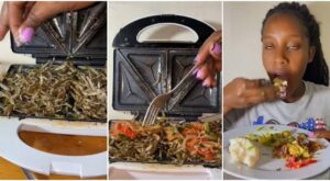 Kenyan woman shows how to cook delicious omena using sandwich maker