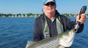 Striper fishing is hot in RI; here’s how to cook your catch
