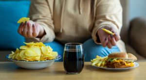 Link between chronic stress and comfort eating: mouse study