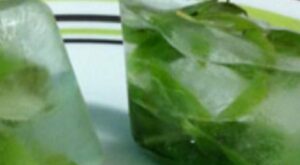 The Ultimate Guide to Freezing Basil in Ice Cube Trays – Simple Italian Cooking