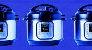 Why Did Instant Pot—Revered, Cherished, Iconic—Just File For Bankruptcy?