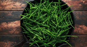 How to forage samphire and use it in recipes