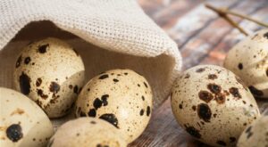 15 Facts You Need To Know About Eating Quail Eggs | Flipboard