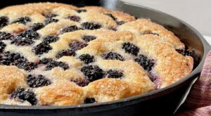 Arkansas blackberries star in recipes for berry good galette, cranachan, buckle, margaritas, tea and ice pops